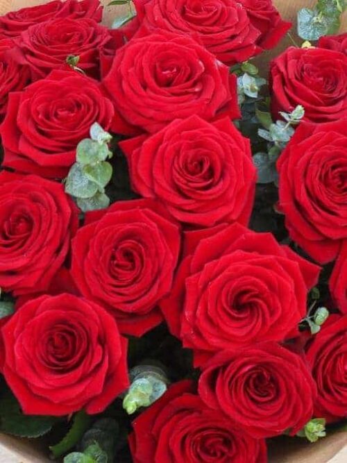 24_Red_Rose_Hand-tied
